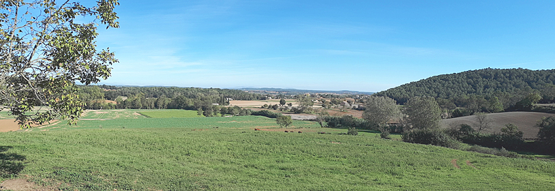 Camós